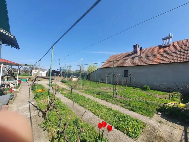 Casă cu Teren 1996 Mp în Giulvăz