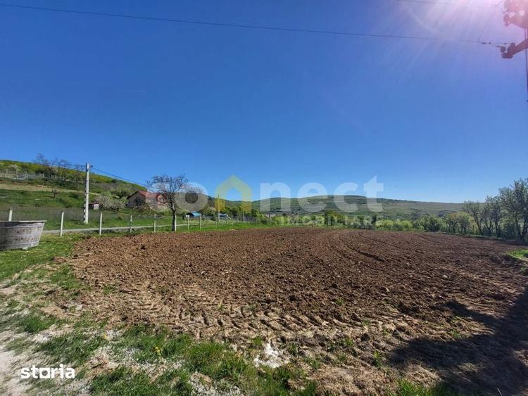 Teren intravilan de vanzare | 2942 mp | Ciurila, Cluj - 2