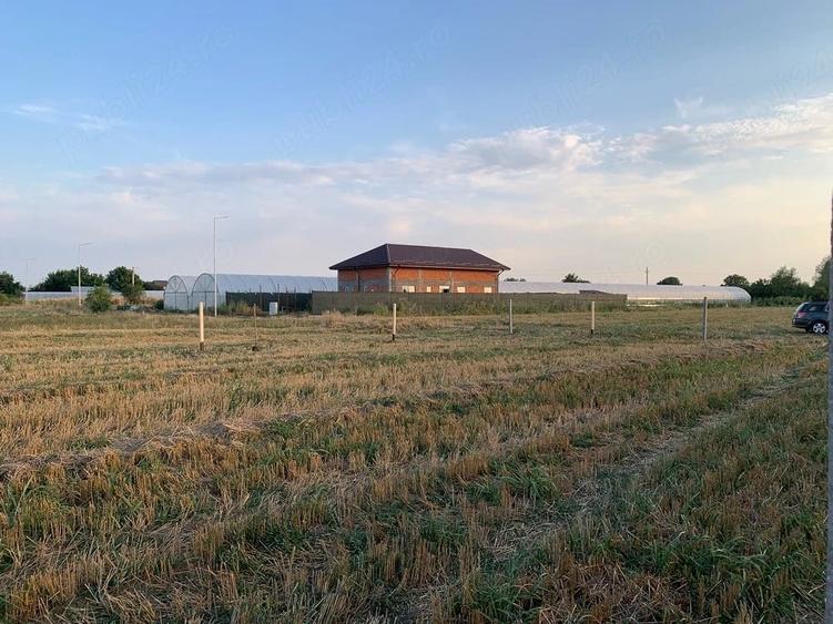 Teren Intravilan Copaceni Ilfov 1 Martie - 1