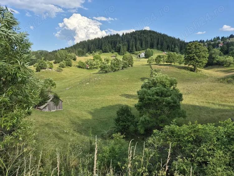 Teren de 6300 mp, în Fundata