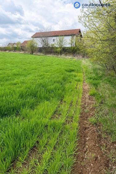 Teren de 2600 mp, în Ciolpani