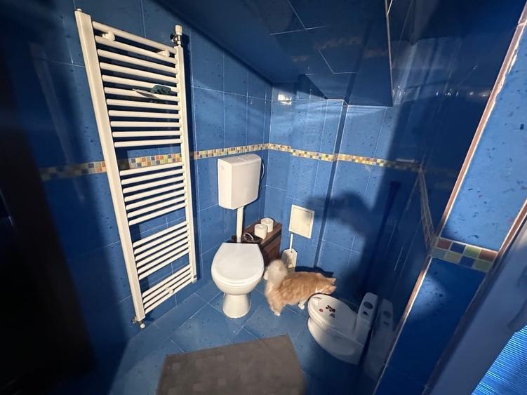 Casă individuală cu 5 camere cu Canalizare în Pieții