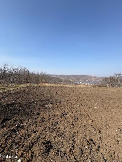 Teren de 2000 mp, în Aroneanu