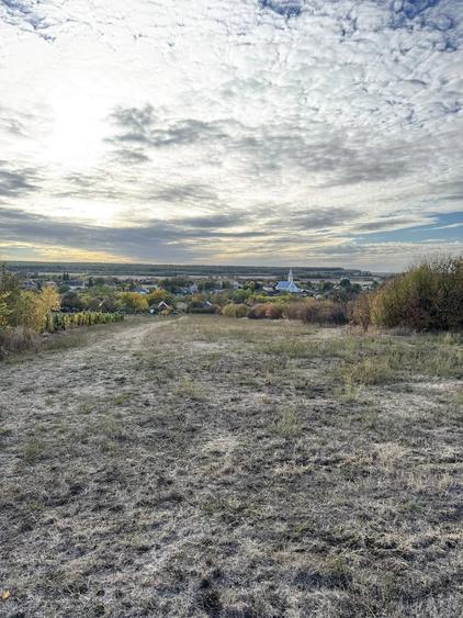 Teren de 4355 mp, în Săcășeni