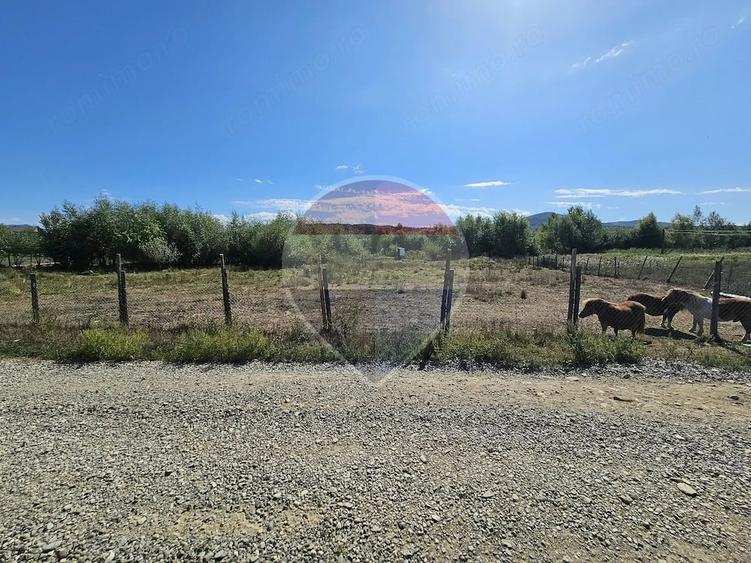 Teren de 3000 mp, în Câmpulung la Tisa