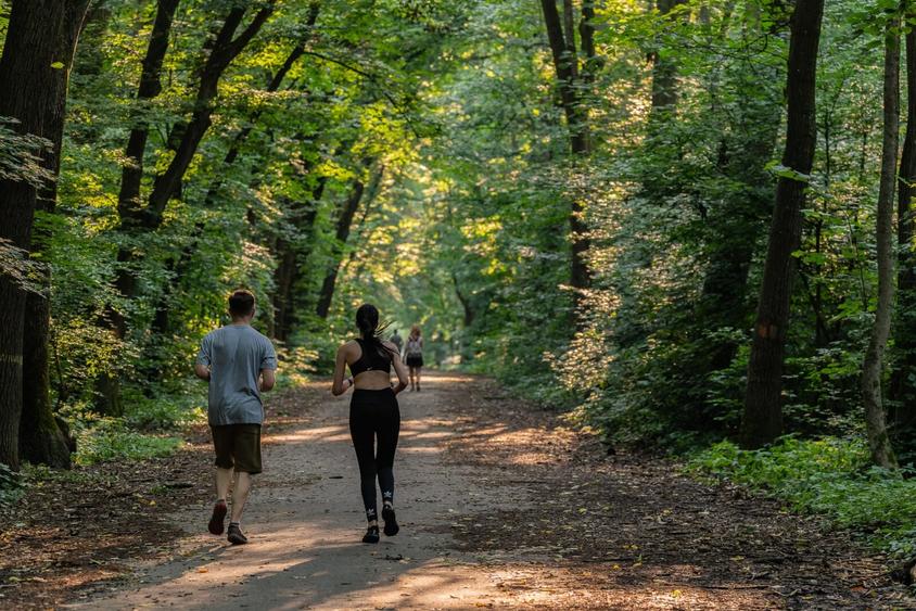 3 camere | Greenfield-Băneasa | Vedere parc | Terasă | Parcare inclusă - 10