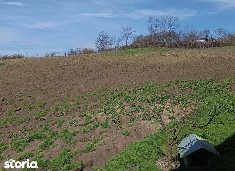Casă cu 5 camere cu Teren 6381 Mp în Bârnova