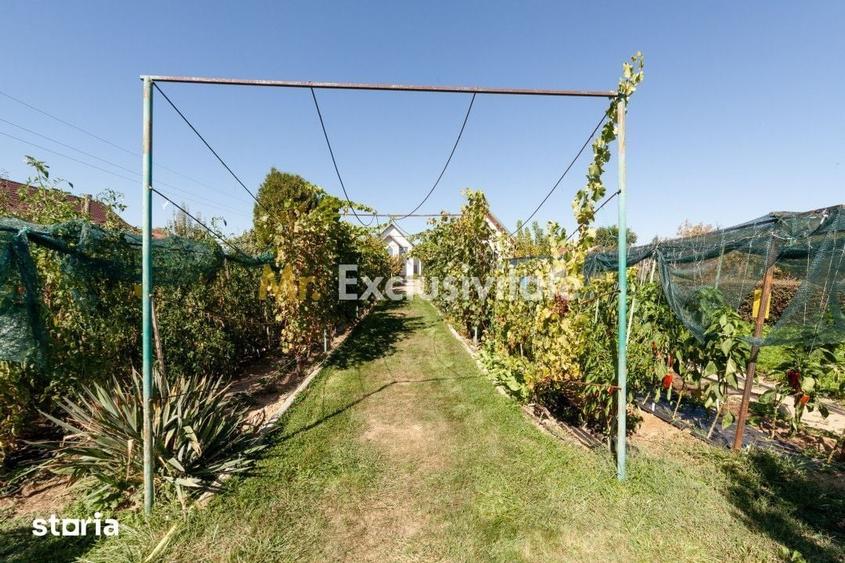 Casă cu 6 camere cu Teren 5000 Mp în Dârmănești