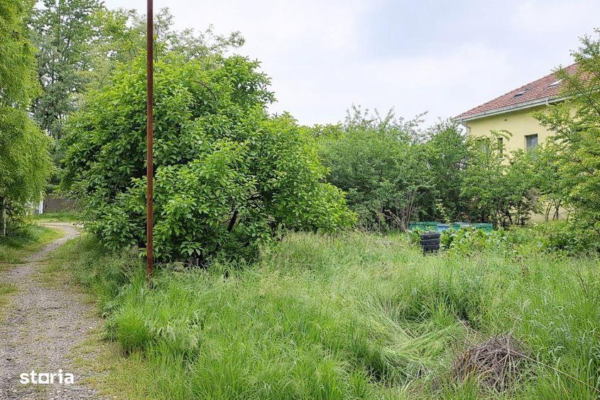 Teren Balotesti - Intravilan Constructii - 833 mp - Utilitati - Lac - 1