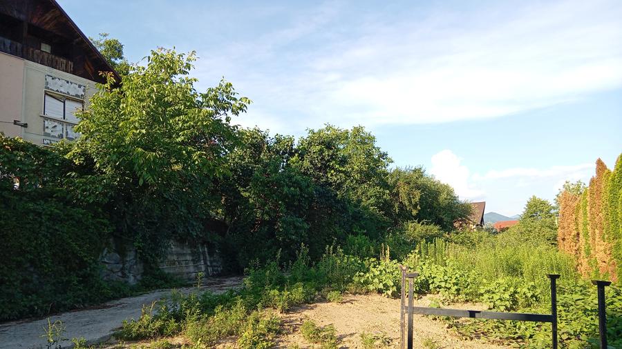 Teren Construcții intravilan de 1813 mp, în Săsar