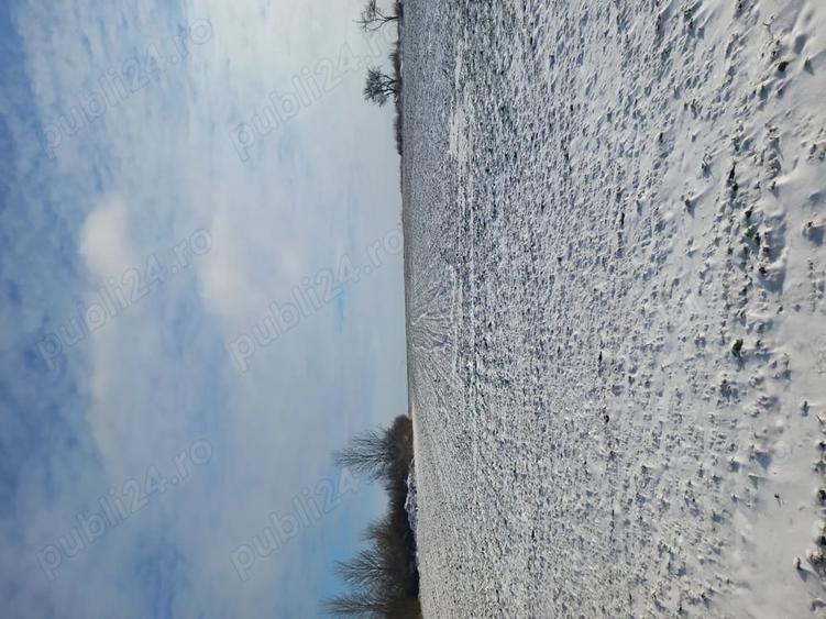 Teren de 2400 mp, în Oporelu