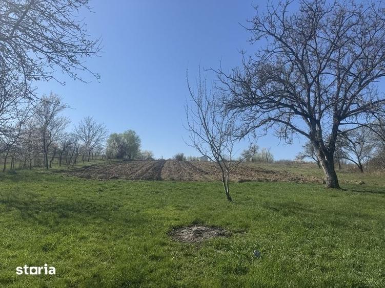 Casă cu 3 camere cu Teren 110 Mp în Băița