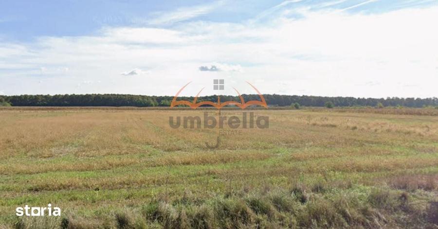 Teren de 6700 mp, în Satulung
