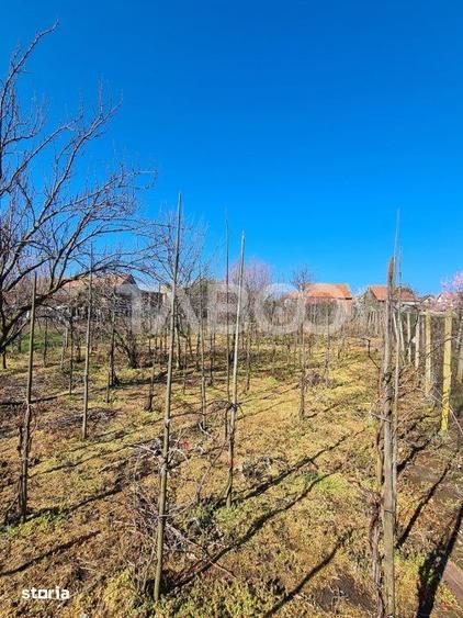 Casă cu 5 camere cu Teren 1400 Mp în Cut