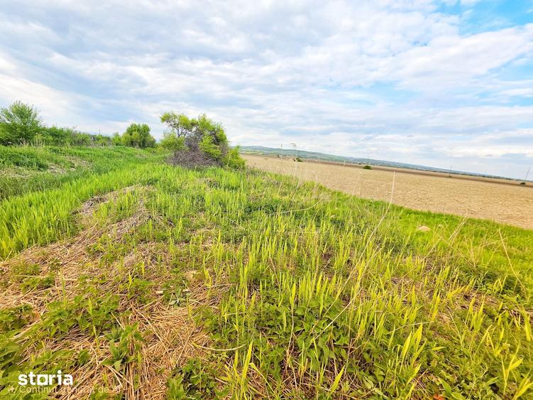 Teren de 7900 mp, în Bucov