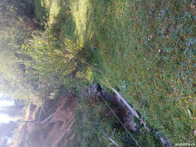Teren în Măguri
