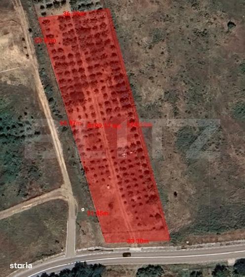 Teren intravilan - 4200 mp, parcelabil, construibil, cu livada, Rascru - 2