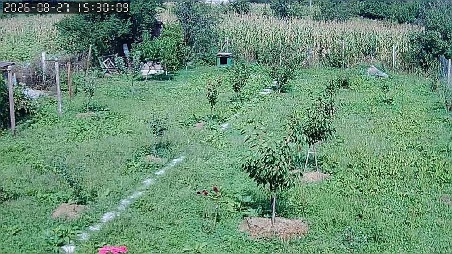 Casă cu Teren 1500 Mp în Crâmpotani
