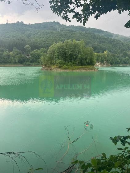 Teren cu deschidere la lac Valea Doftanei, Prahova - 16