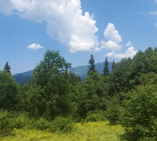 Teren Construcții intravilan de 10850 mp, în Cioplea