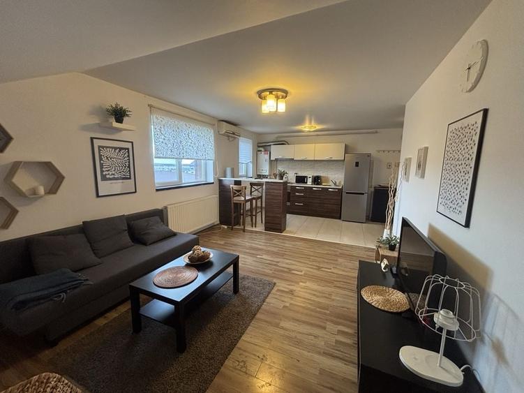 Apartament cu 2 camere în Roșu