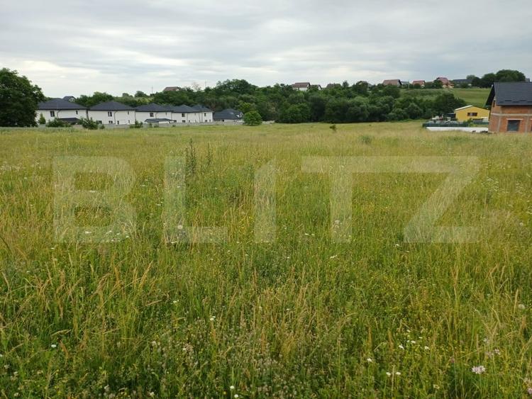 Teren de vânzare intravilan, 9 ari, Lisaura, com. Ipotesti - 1