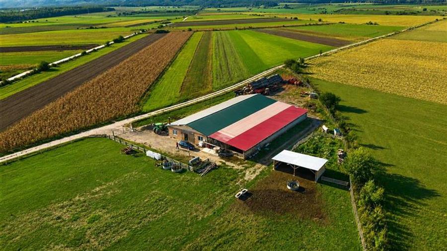 Teren agricol extravilan de 18000 mp, în Rotbav