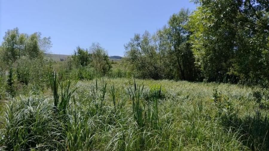 Teren Construcții intravilan de 500 mp, în Hunedoara