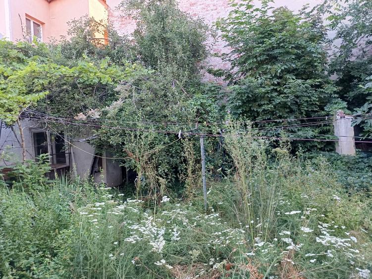 CASA SINGUR CURTE PARCUL CAROL TEREN IN PROPRIETATE 620MP POTENTIAL ENORM DIVERS - 8