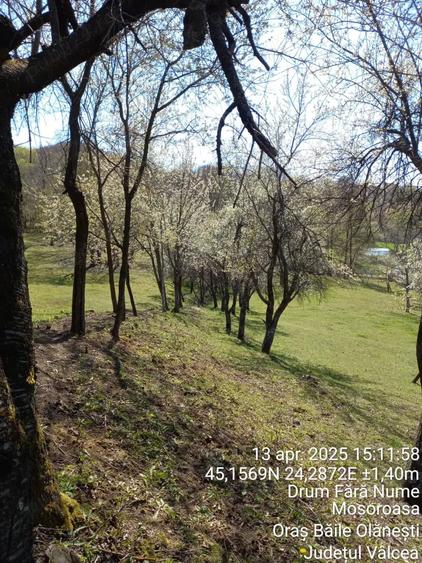 Teren de 2600 mp, în Mosoroasa