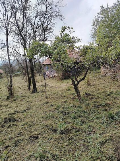 Casă cu Teren 590 Mp în Rediu