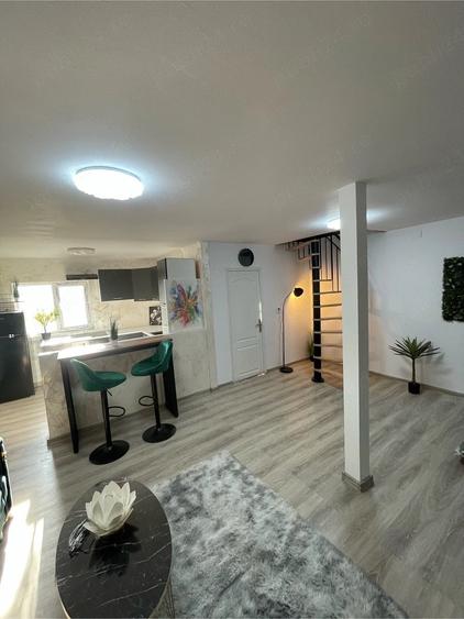 Surduc Lake house 574 - 7