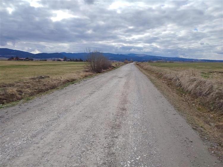 Teren Construcții intravilan de 2810 mp, în Sineu