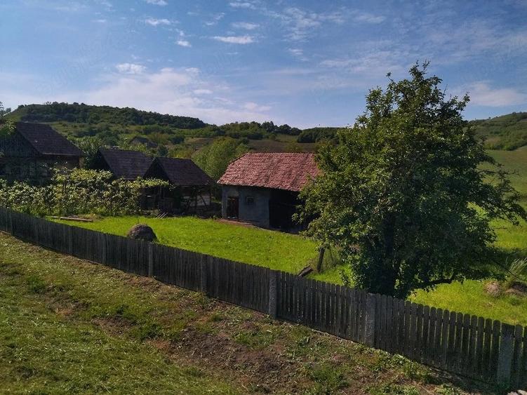 Casă cu 3 camere cu Teren 2900 Mp în Moișa