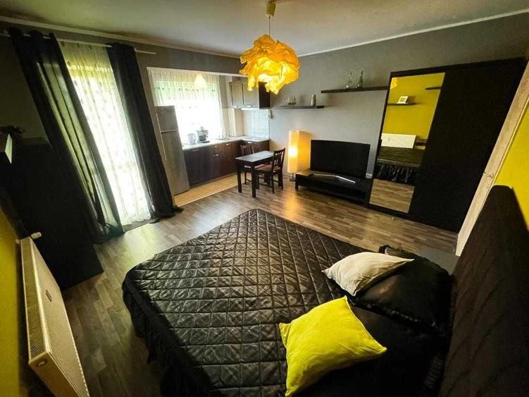 Inchiriez apartament cu 1 camera, bloc nou, mobilat si utilat - 7