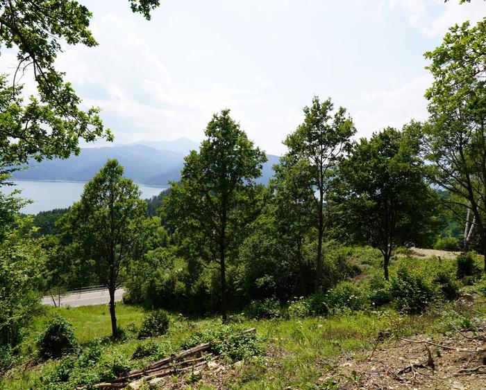 Teren agricol intravilan de 1723 mp, în Hangu