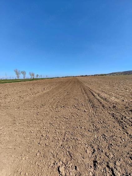 Teren de 4000 mp, în Plăiești