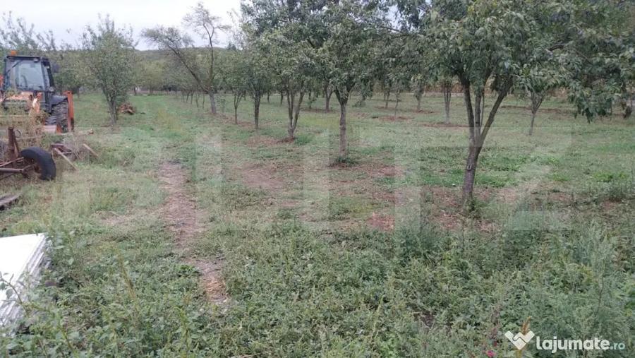 Casă cu 46 camere cu Teren 873 Mp în Central