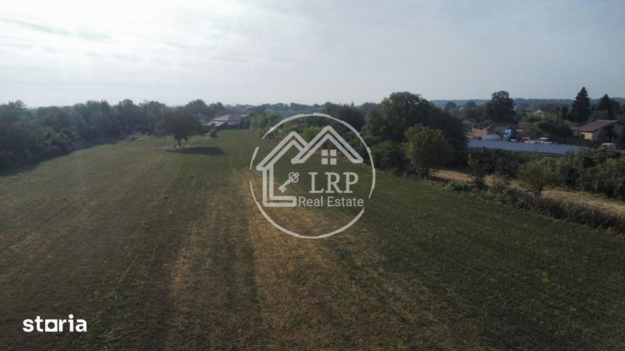 Teren de 7182 mp, în Dascălu