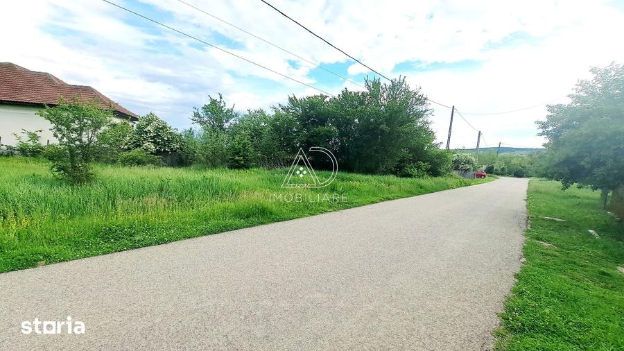 Teren de 7443 mp, în Săcelu