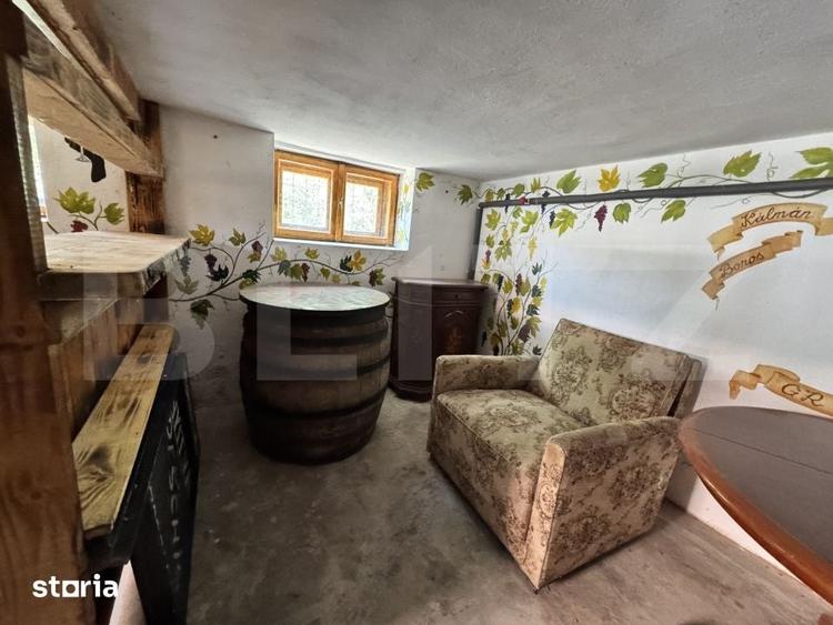 Casă cu 5 camere cu Teren 4731 Mp în Eremitu