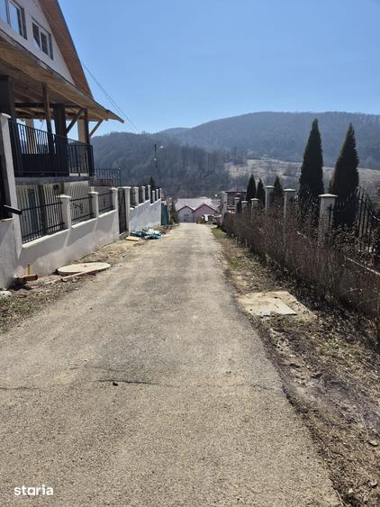 Teren extravilan Luncani-Bacau - 2