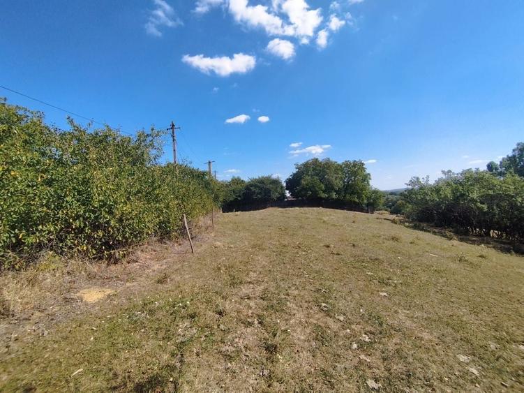 Teren Construcții intravilan de 2200 mp, în Mănăstioara (Siret)
