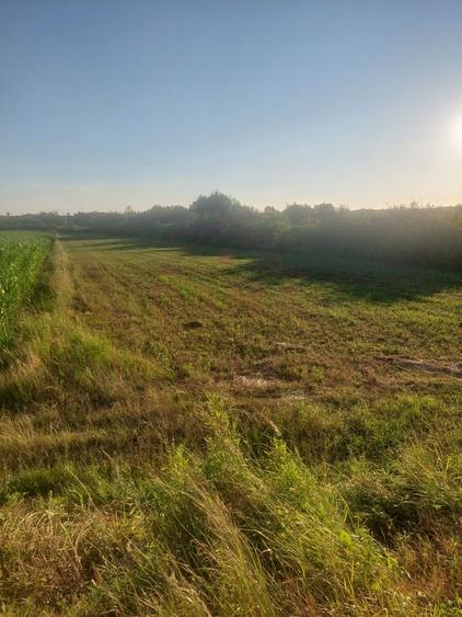 Teren Construcții extravilan de 32480 mp, în Periferie