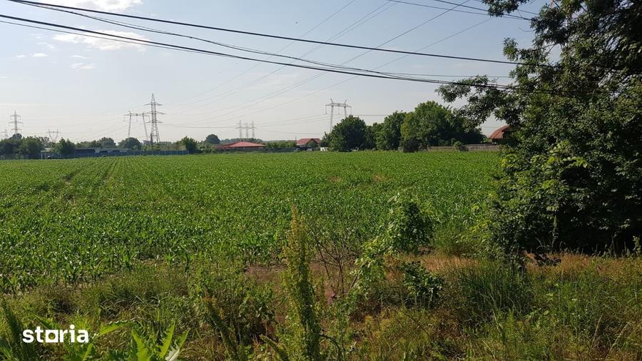 Teren de 5000 mp, în Jilava