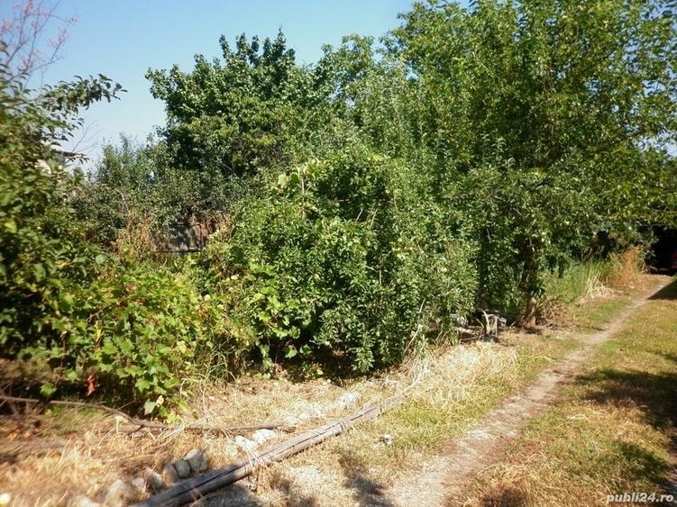 Teren de 4800 mp, în Vidra