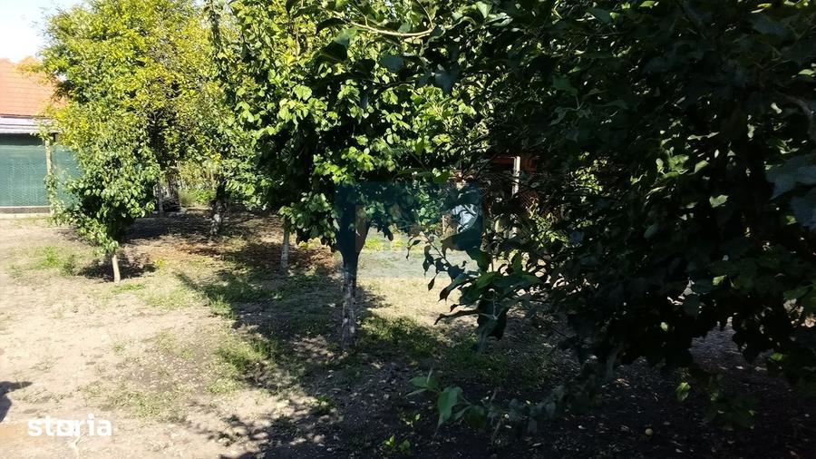 Casă cu 3 camere cu Teren 646 Mp în Nord