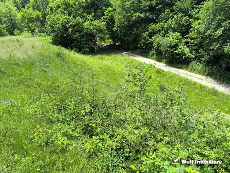 Teren agricol extravilan de 1423 mp, în Huta