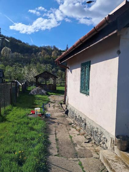 Casă cu Teren 450 Mp în Central