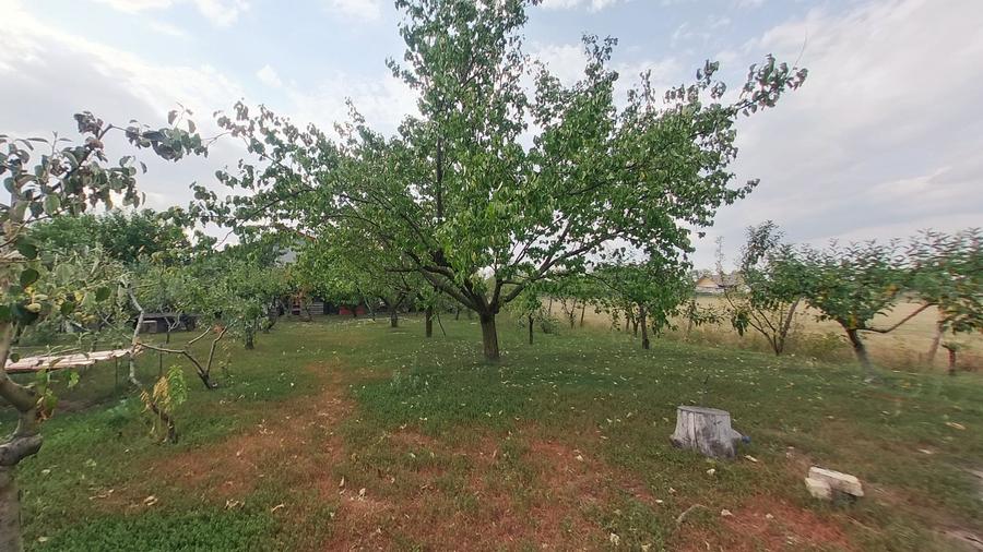 Casă individuală cu 3 camere cu Teren 1530 Mp în Șiria